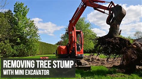 will a mini excavator pull up large tree stumps|best stump removal equipment.